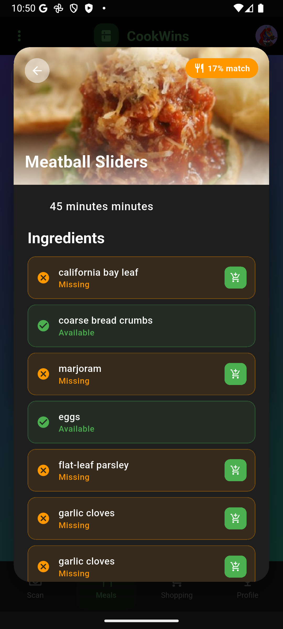 Ingredient availability and shopping list